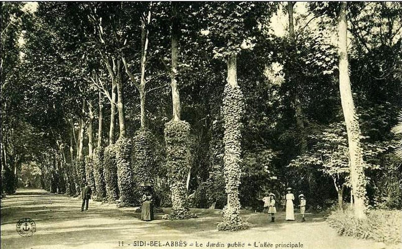 Sidi bel abbes 148.jpg
